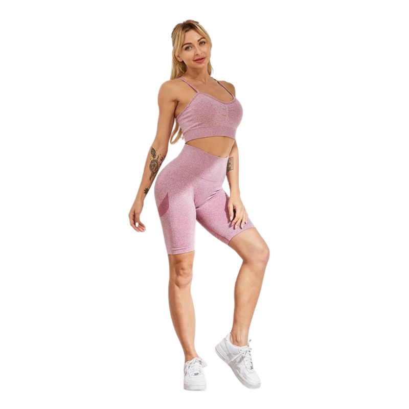 Seamless Shorts Yoga Set