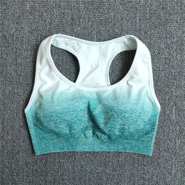 Female Gradient Seamless Yoga Set