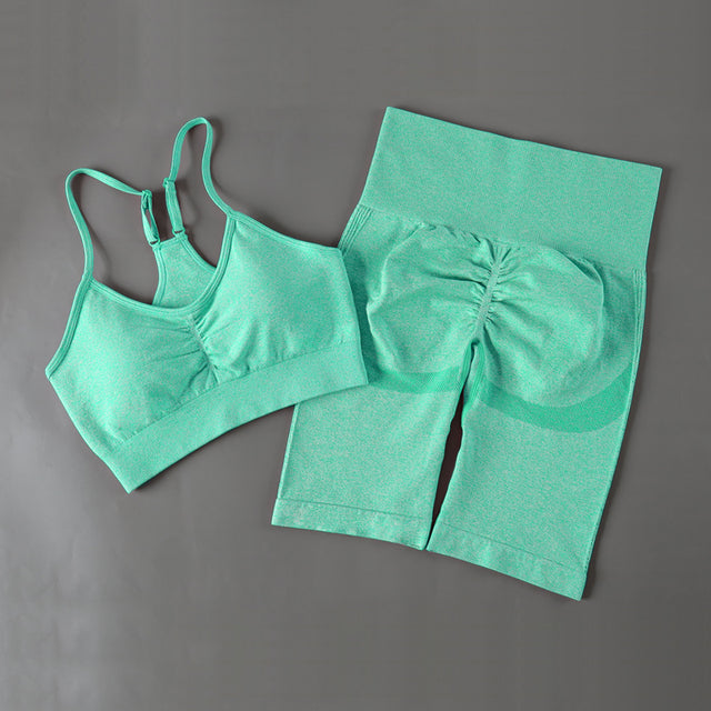 Seamless Shorts Yoga Set